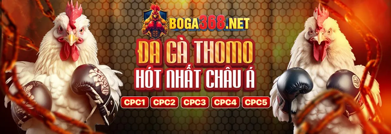 Công nghệ mã hóa dữ liệu tiên tiến của king98